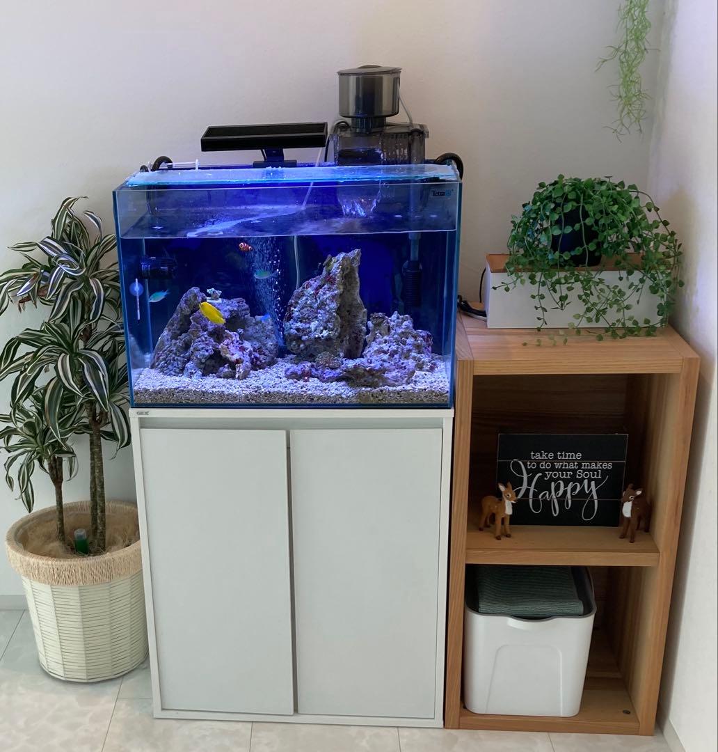 【値下げ】ガラス水槽 SET※ ゆとさん専用