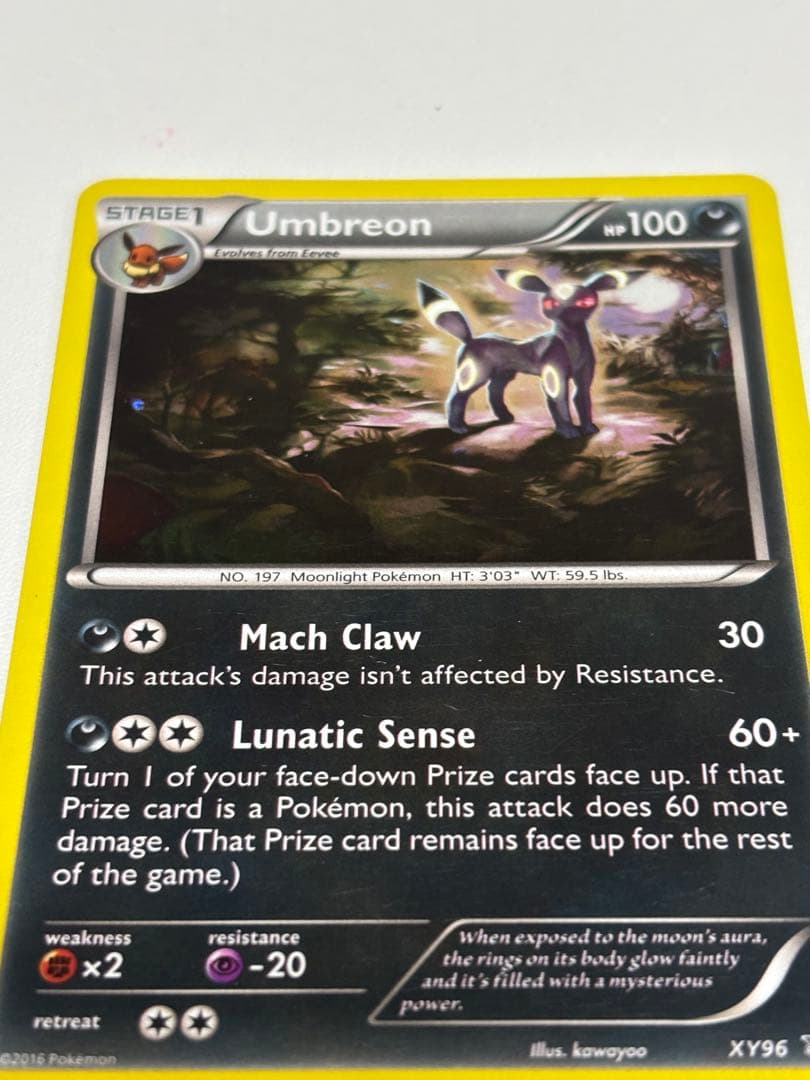 ブラッキーナイトバトルプロモ英語版 xy96 正規品Umbreon