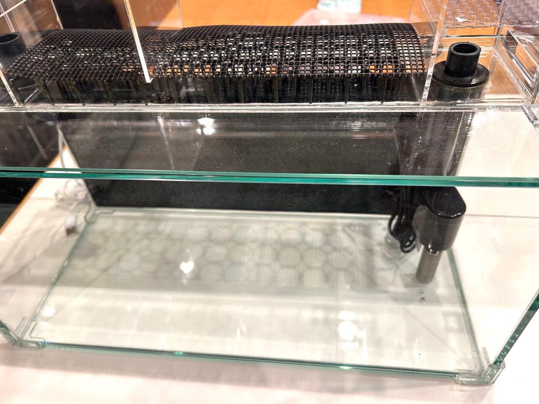 W450ガラス水槽20Lアクアリウム水槽アクアポニックス（観葉植物）仕様