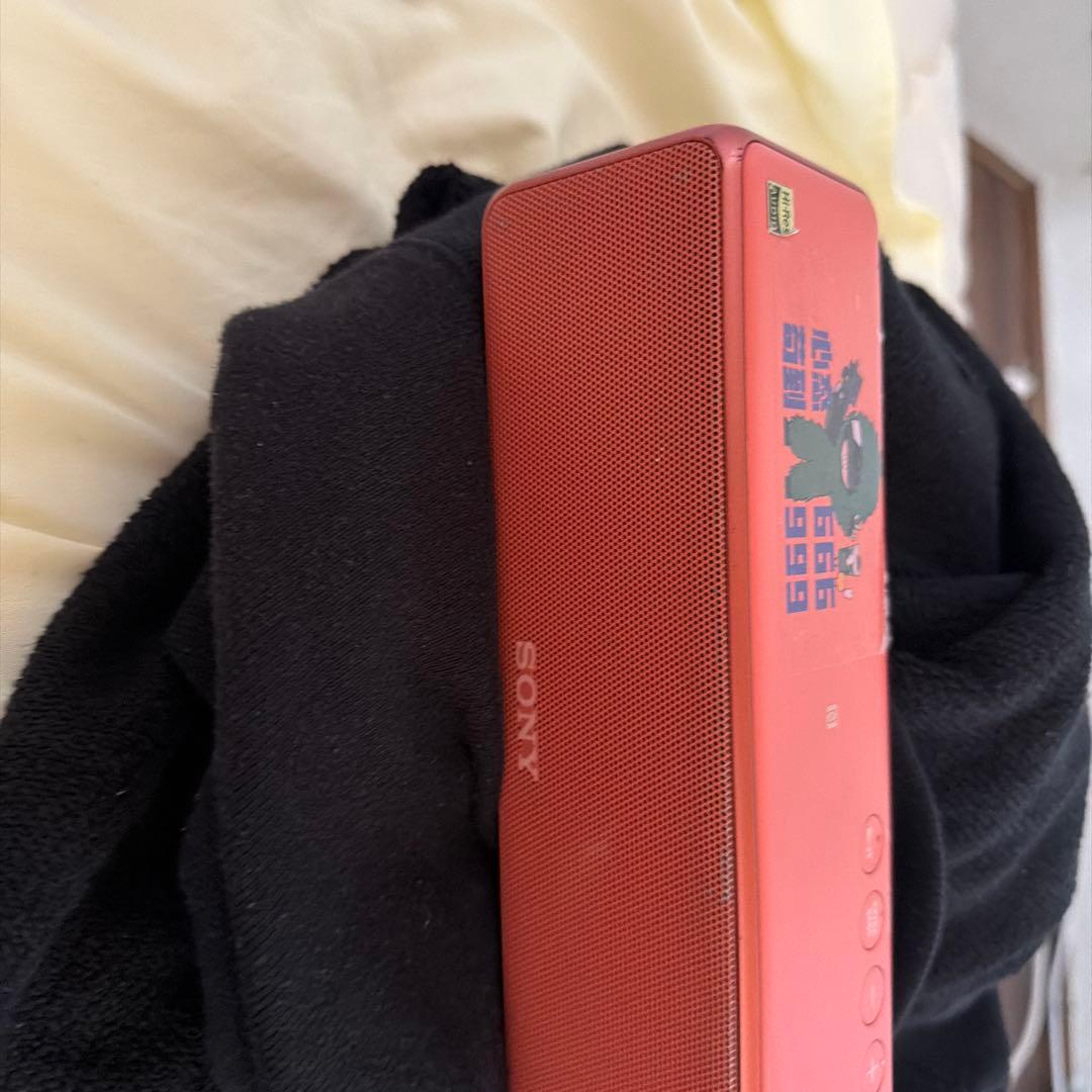 SONY ワイヤレスポータブルスピーカー （SRS-HG10）