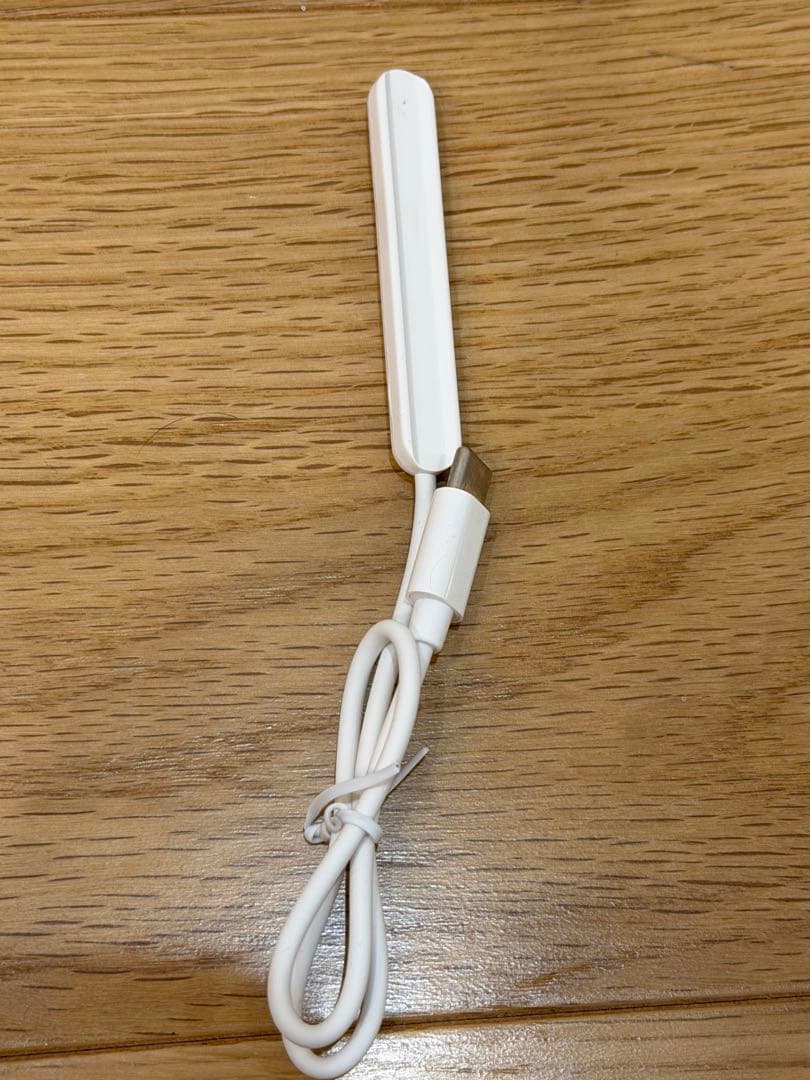 【超美品】Apple Pencil(第2世代) ※ほぼ新品、おまけ付