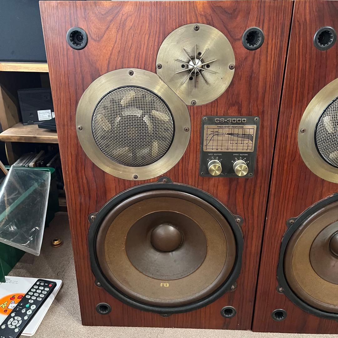PIONEER CS-3000 スピーカーペア