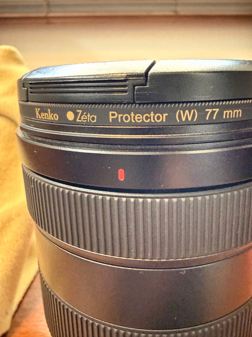 SONY FE 24-105mm F4 G OSS SEL24105G 中古
