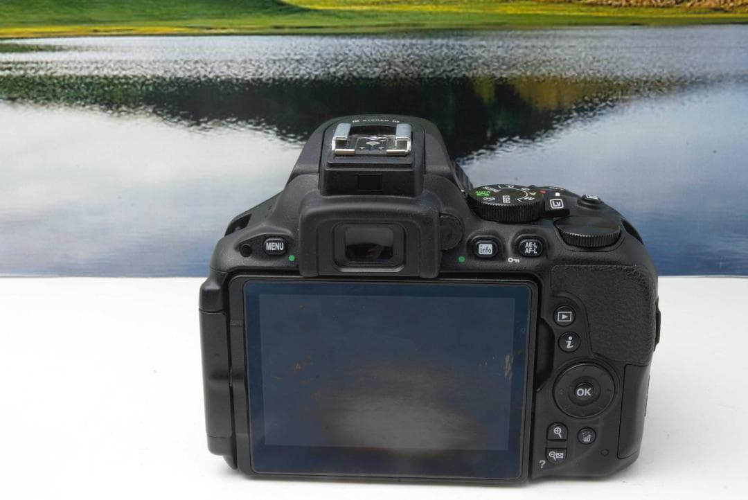 初心者向け　Nikon D5500 高性能 Wi-Fi搭載 届いてすぐ使える