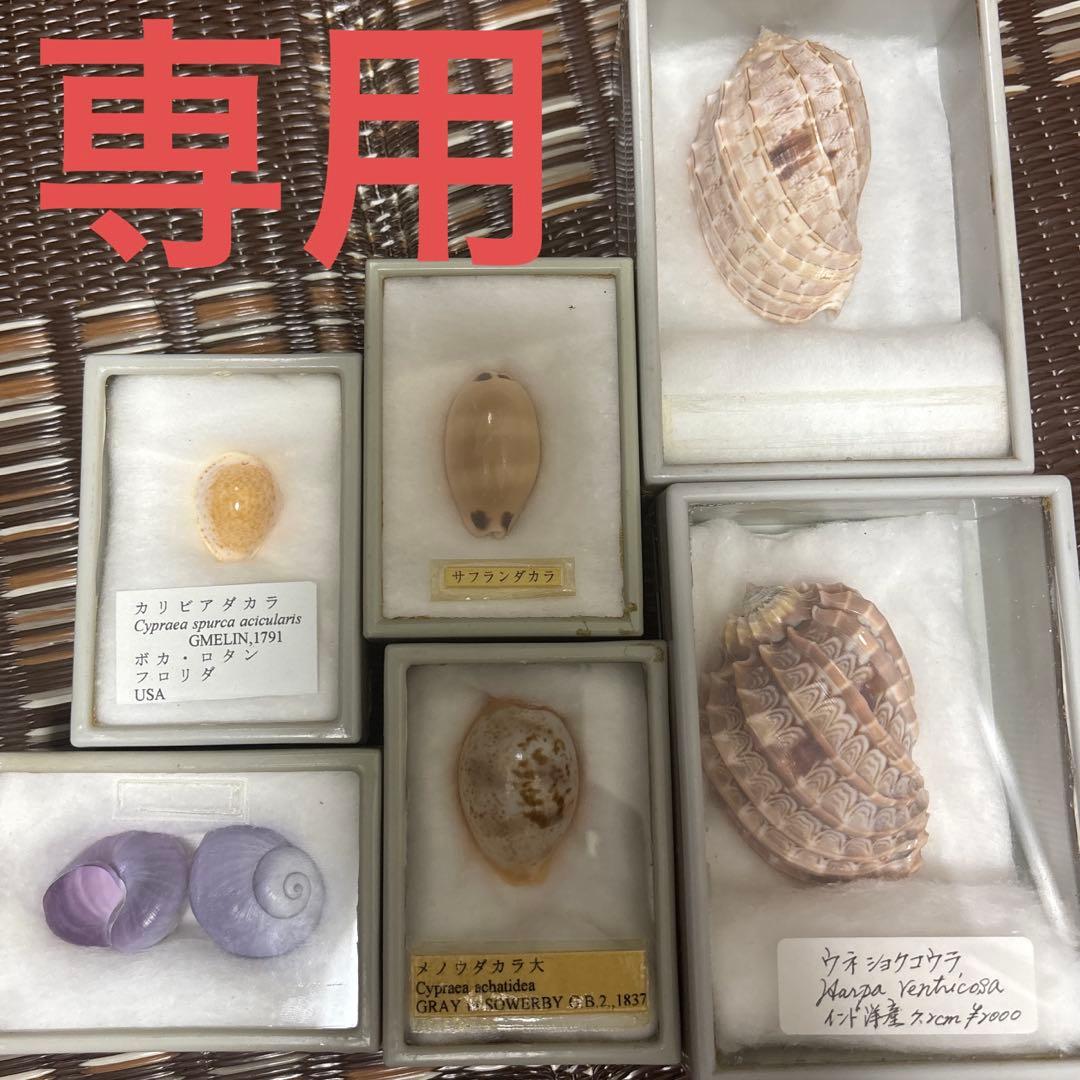 (専用)6点セット