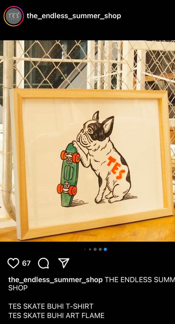 TES （The Endless Summer） アートフレーム