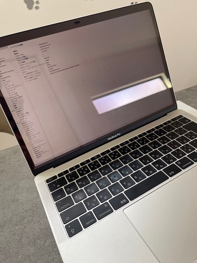 【美品】MacBook Pro 13インチ Core i5 ＋新品マウス付き