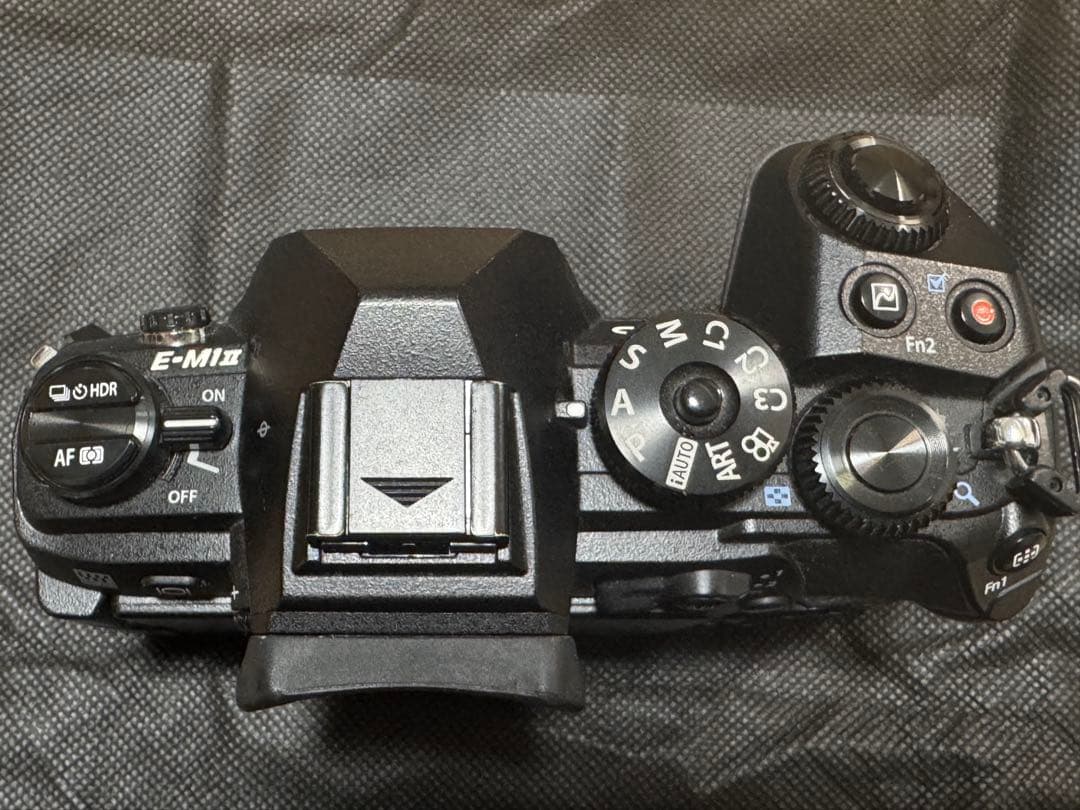 OLYMPUS (オリンパス) OM-D E-M1 Mark II ボディ