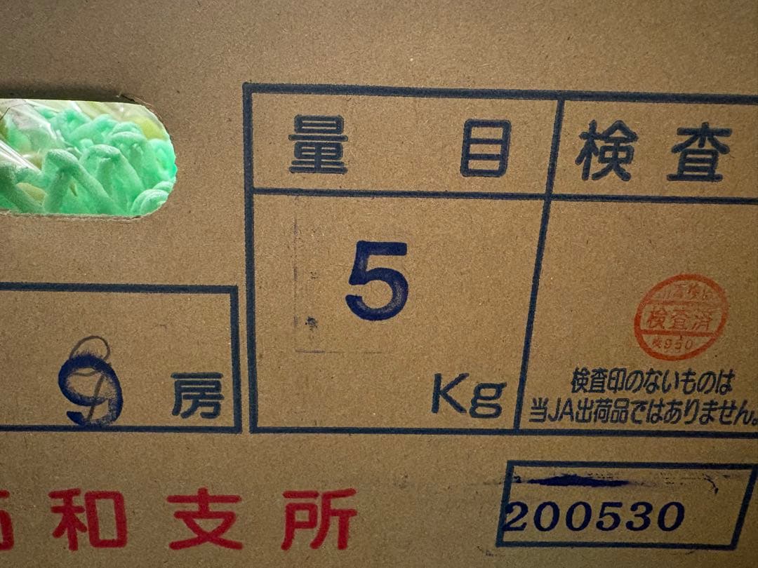 山梨県産　大粒！！シャインマスカット　9房セット　5kg