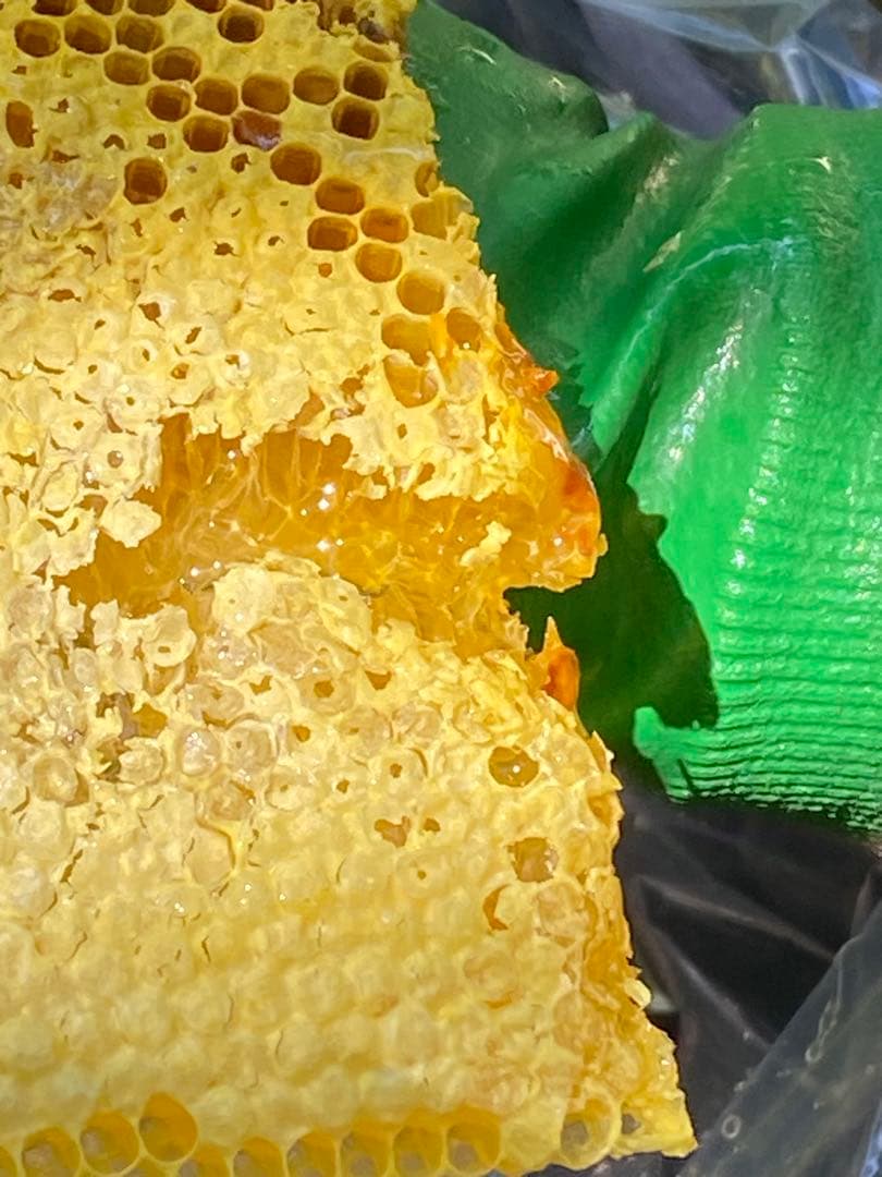 ハチミツ　日本蜜蜂の蜂蜜　奥山の奥のはちみつ　巣箱違い谷違いのハチミツ４種