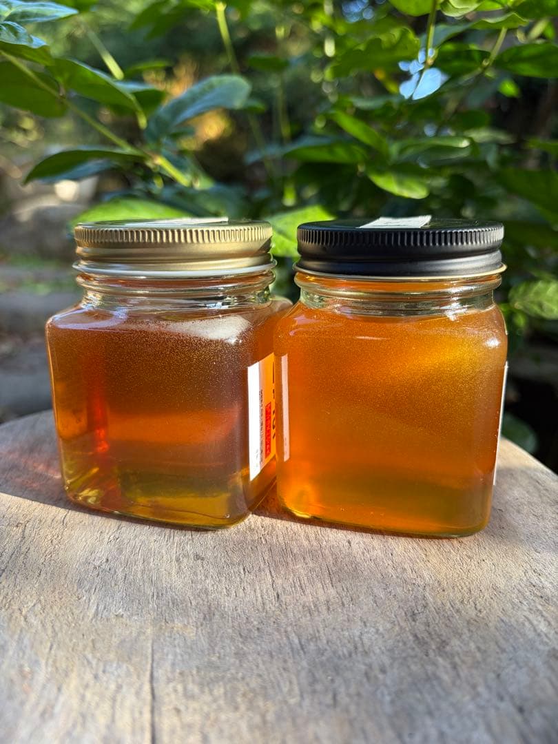 ハチミツ　日本蜜蜂の蜂蜜　奥山の奥のはちみつ　巣箱違い谷違いのハチミツ４種