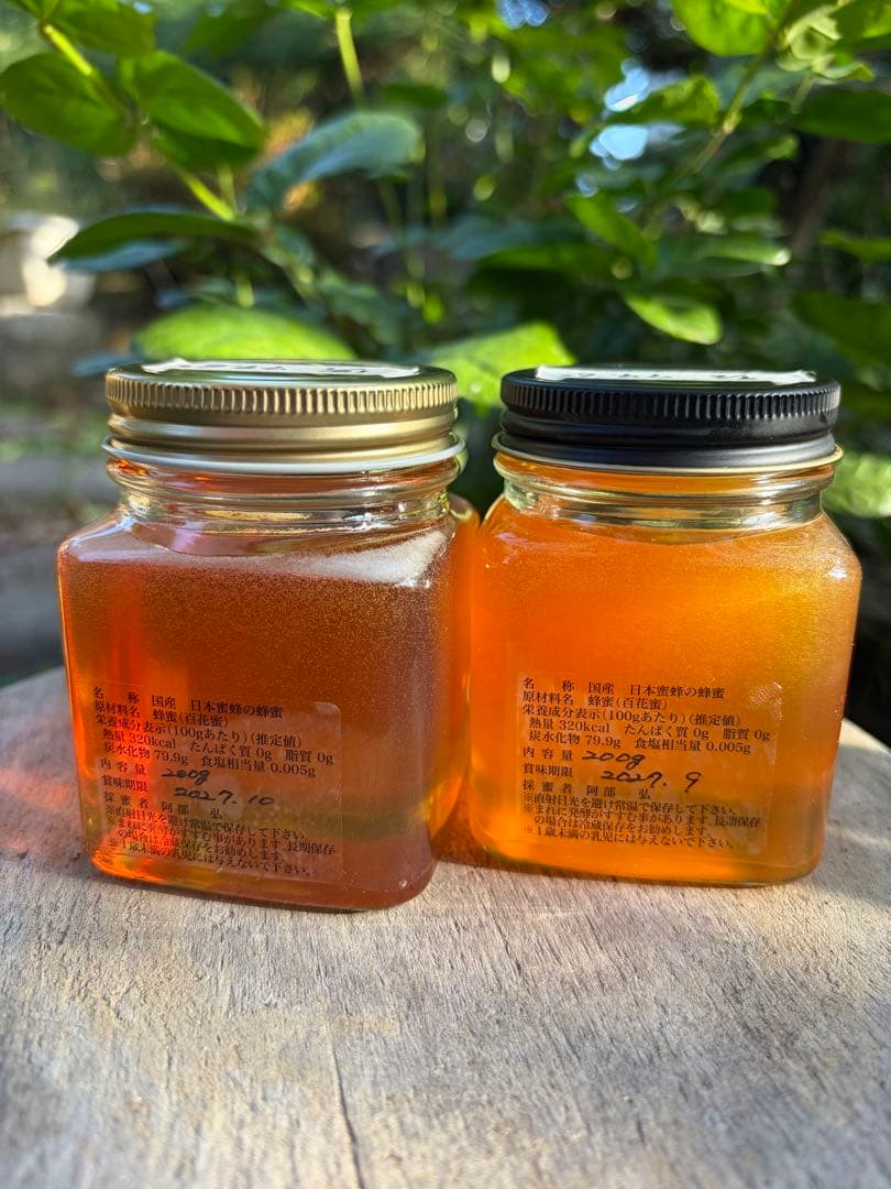 ハチミツ　日本蜜蜂の蜂蜜　奥山の奥のはちみつ　巣箱違い谷違いのハチミツ４種