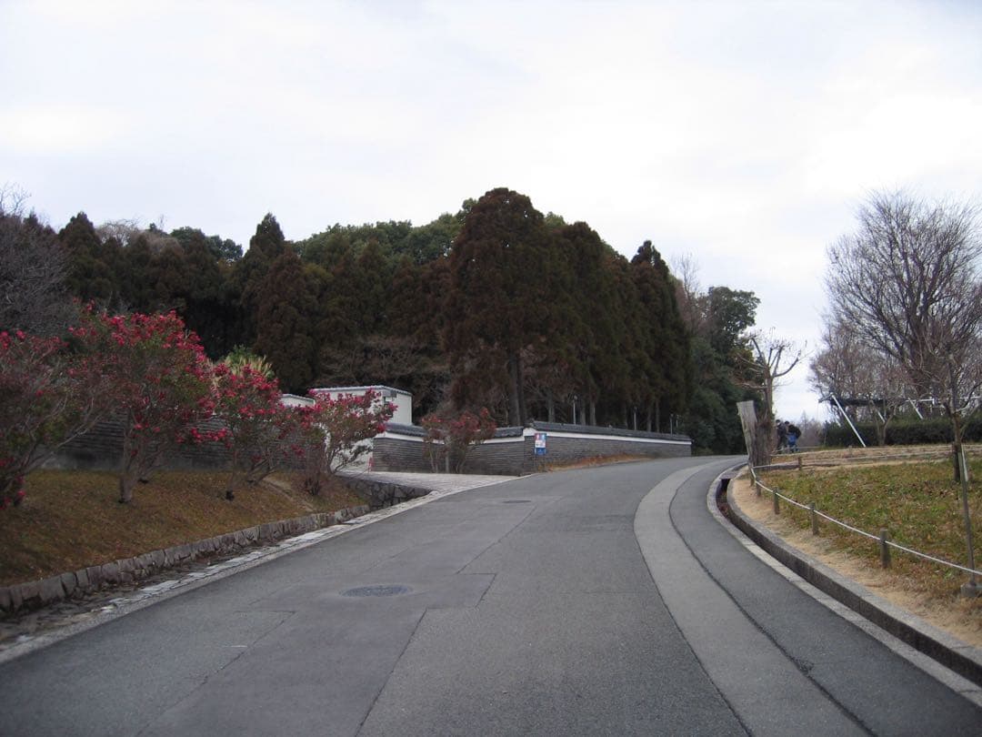 Canon IXY Digital 500 シルバー 付属品多数