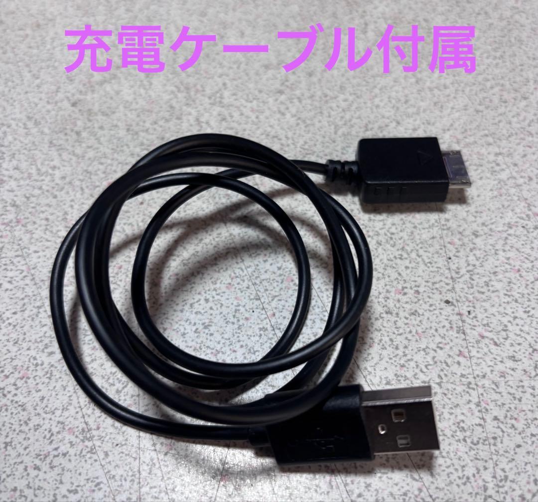 SONY WALKMAN NW-S605 2GB ケーブルなし イヤフォン3種付