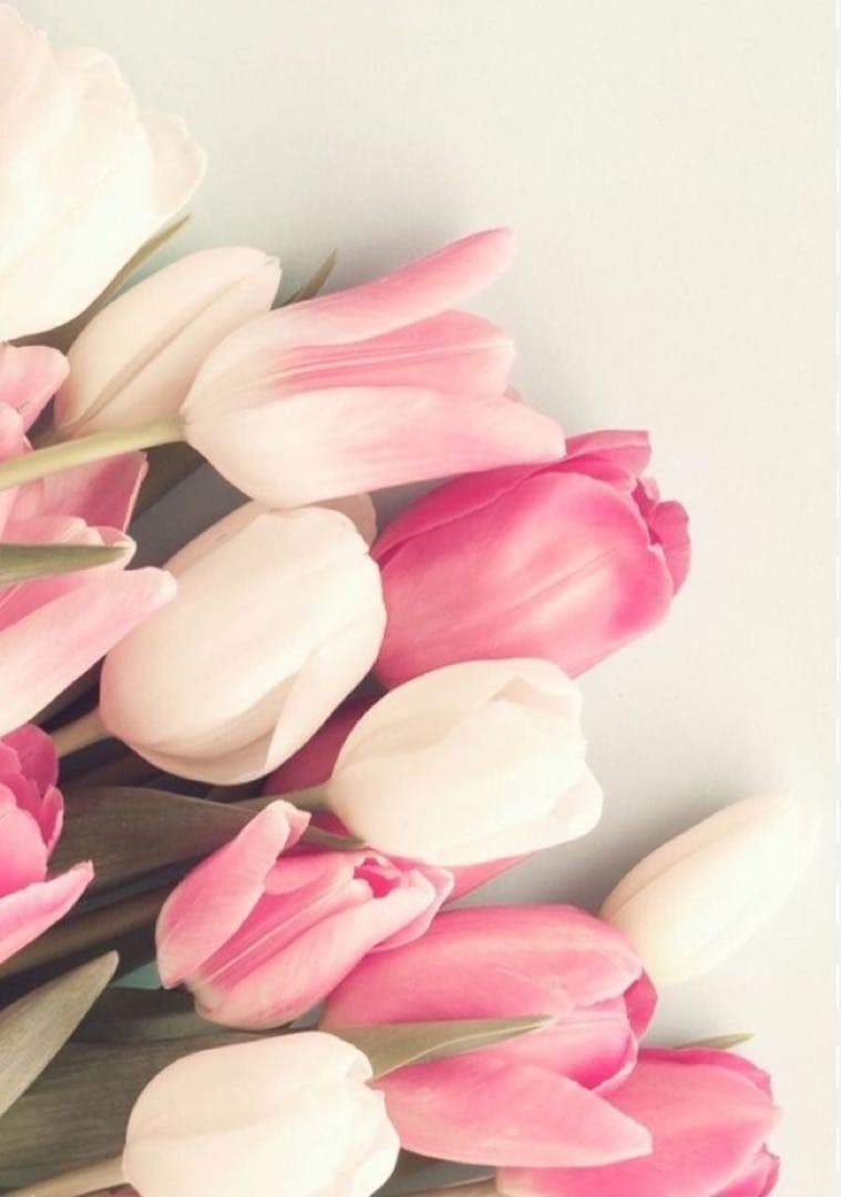 ひろこっち ミルク STW1