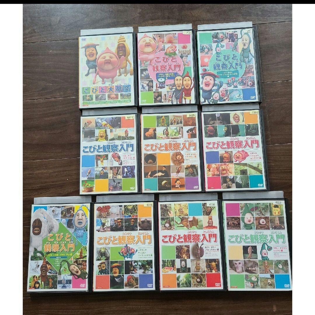 こびとづかん　DVD　セット