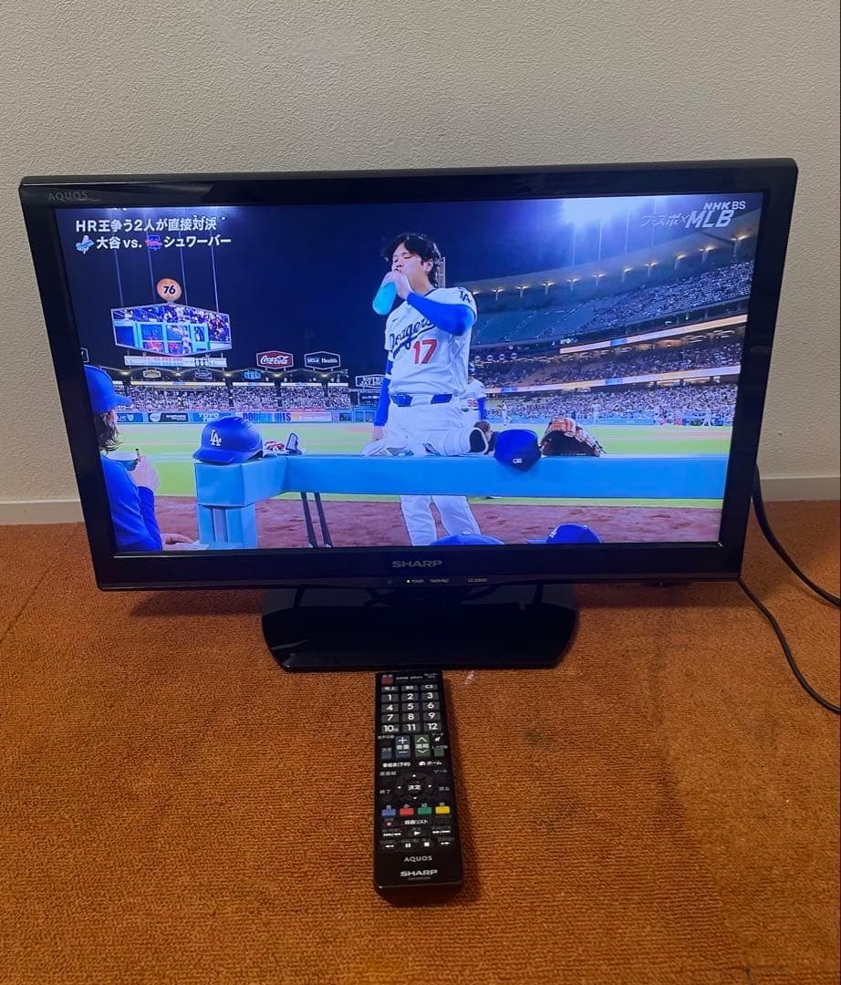 シャープ 地上/BS/110度CSデジタルフルハイビジョン 液晶テレビ