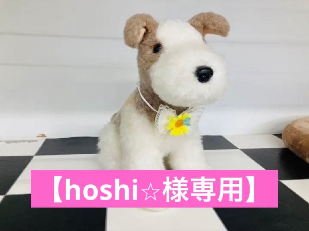 【hoshi⭐︎】