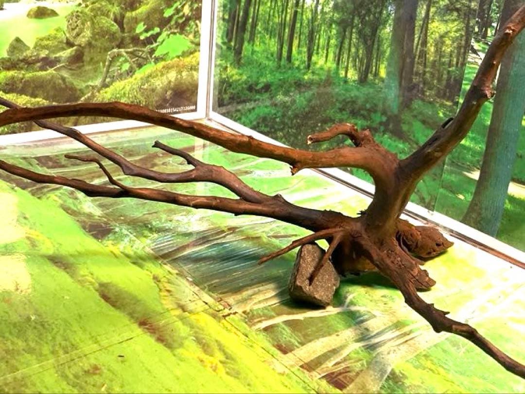 エムエー様 リクエスト 6点 まとめ商品