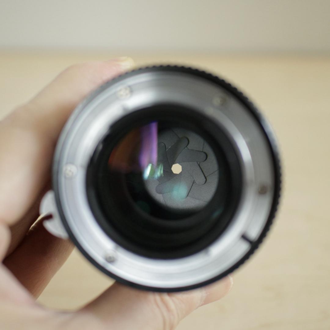 Nikon Nikkor 105mm f2.5 / ニコンレンズ ポートレート