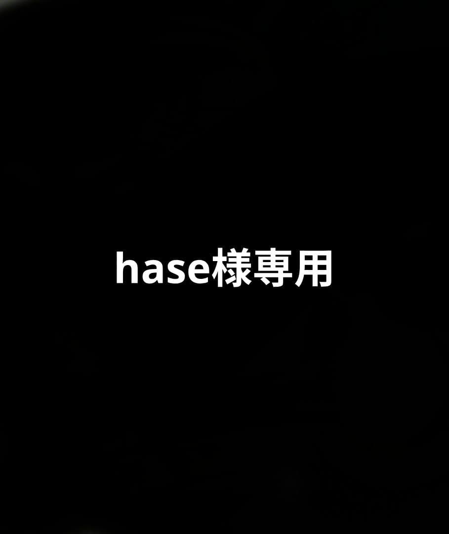 レンズ(ズーム) hase