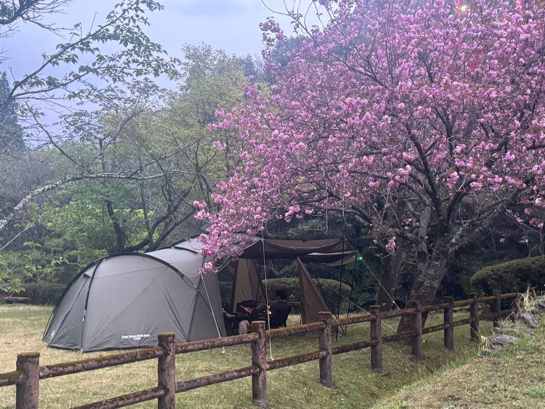 Coleman ラウンドスクリーン2ルームハウス(オリーブ)限定色