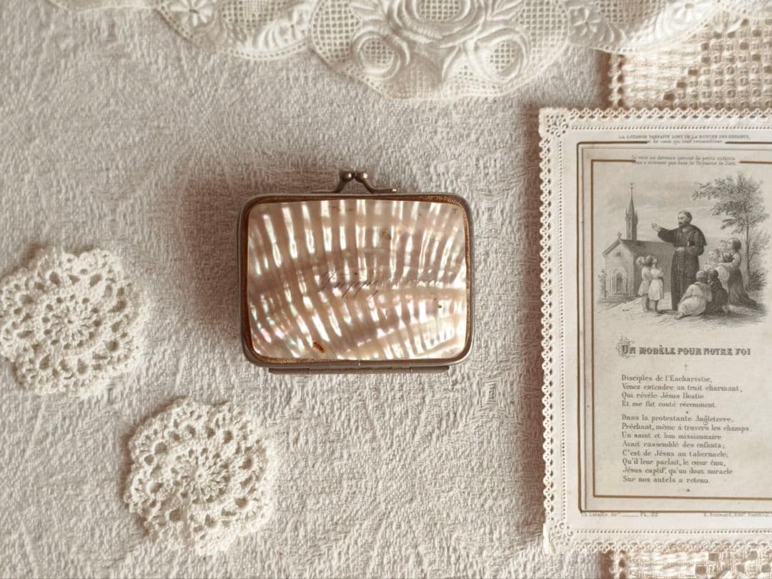 * vintage purse ୨୧ .·*° 貝がらの 小物入れ がま口