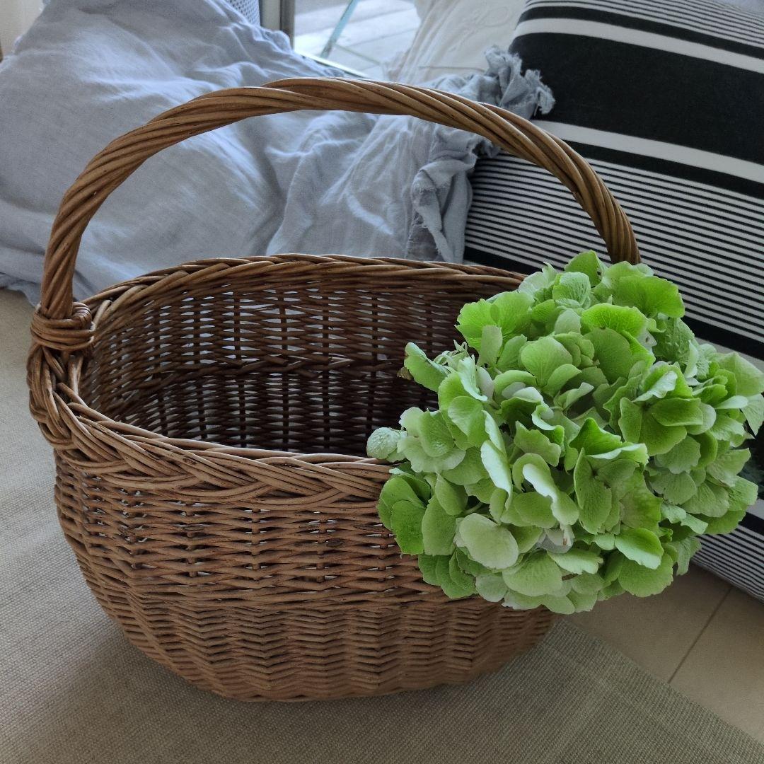 フランス　アンティーク　大きめ　パニエ　バスケット　籠　ブロカント雅姫