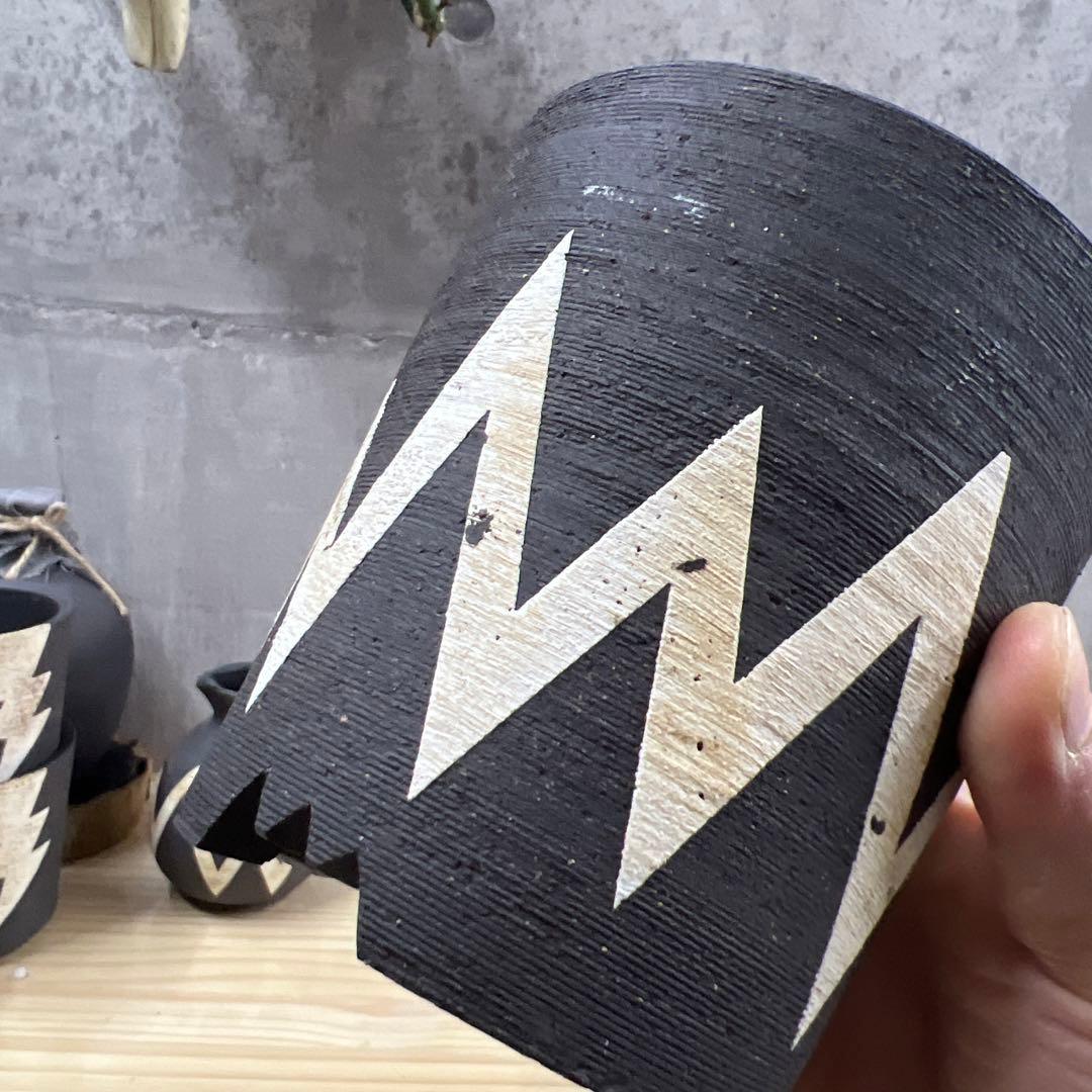 ノイズ 樣手作植木鉢 Mサイズ 2点検（ 塊根植物 グラキリス パキプス