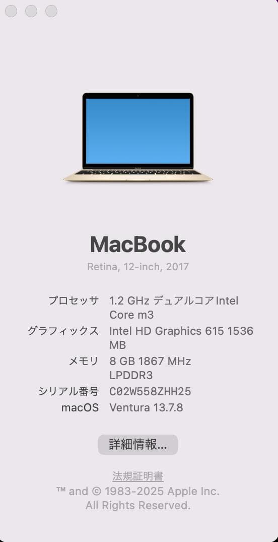 MacBook 2017 A1534 12㌅ 『BT 充放電1回』Gold
