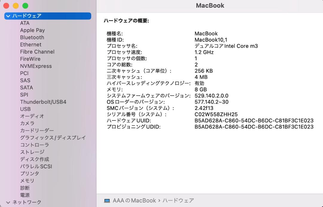 MacBook 2017 A1534 12㌅ 『BT 充放電1回』Gold