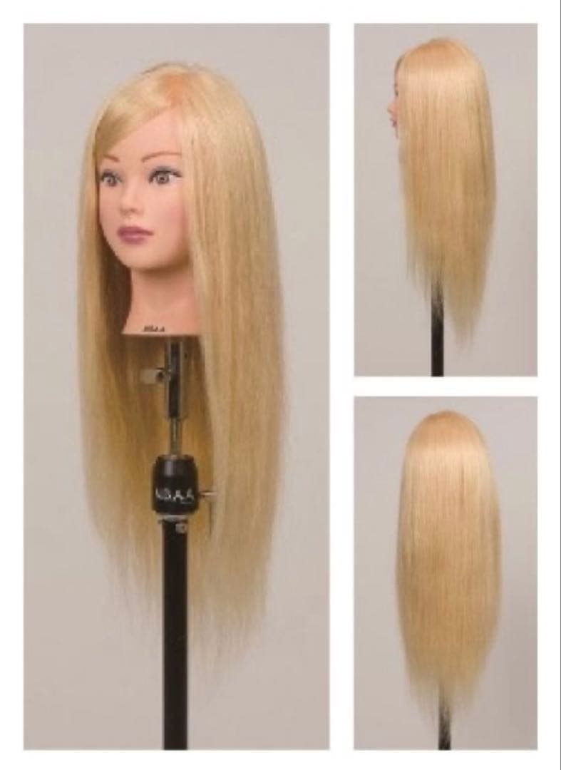 【新品特価30%OFF】N.B.A.A.ウィッグ 一般・プロ・店舗ディスプレイ