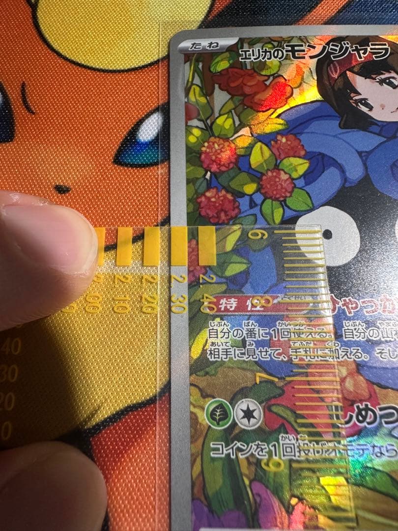 【極美品】エリカのモンジャラ　743/742