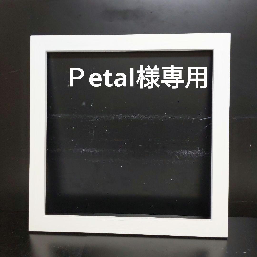 Ｐetal 額縁セット