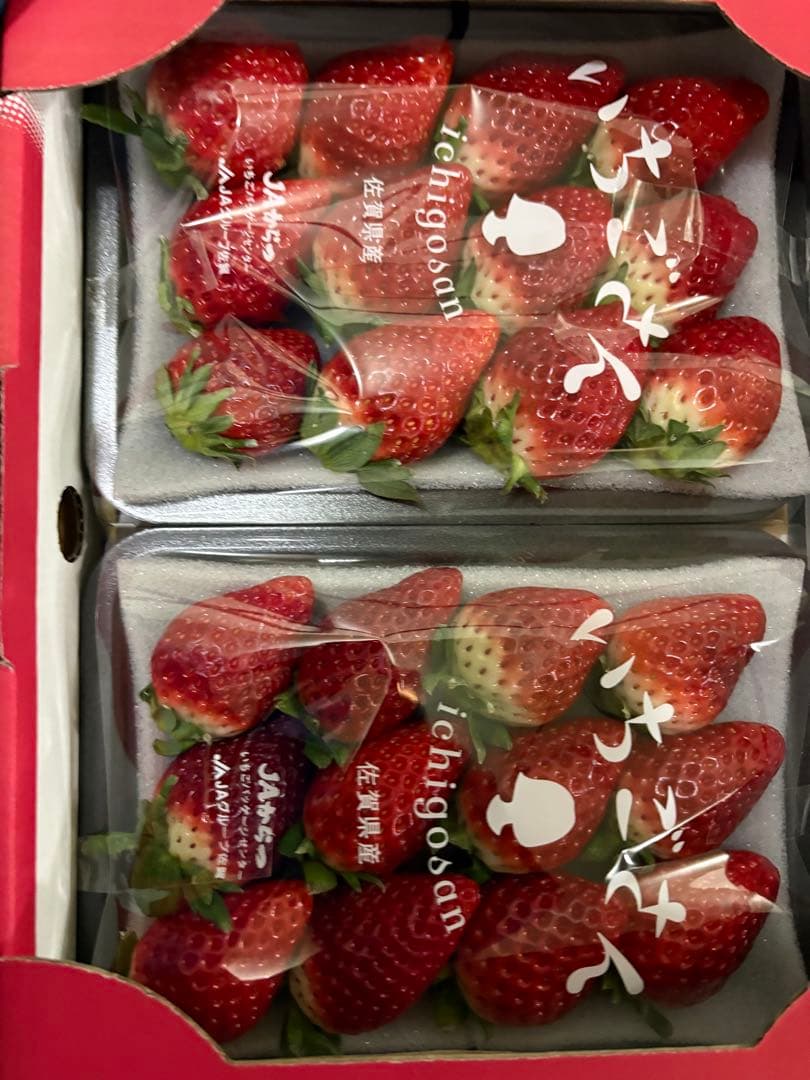 キティママ様 ご予約