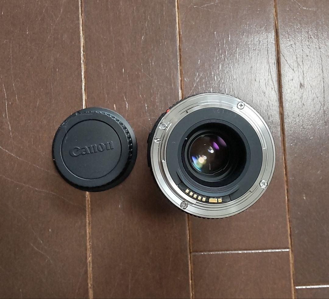 Canon EF 50mm コンパクト マクロ と ライフサイズコンバーター