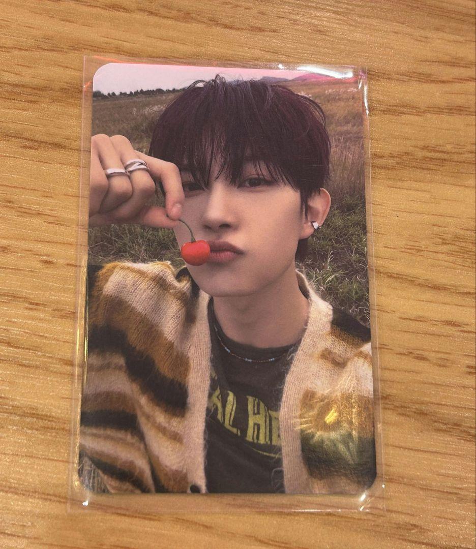 韓国　Alphadriveone　ALD1　サノク　事前収録　ゴヌ　トレカ