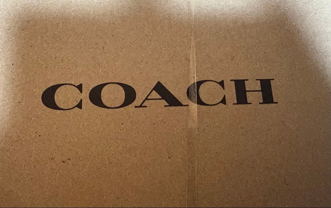 迷*い様 コーチ☆新品☆メンズ レザー ローファー ミュール/ブラック 27cm