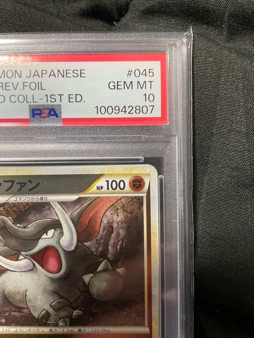 世界40枚 PSA10 ドンファン donphan ミラー 2009 60