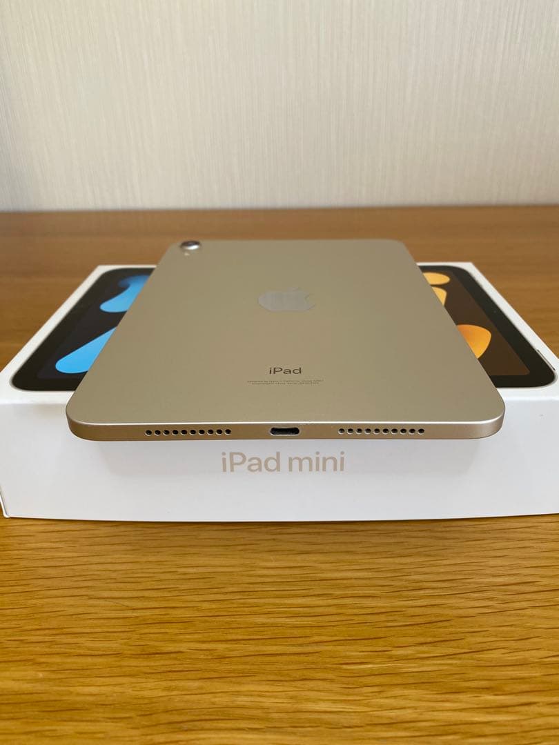 iPad 第6世代(mini) 美品　256GB iPad本体　充電器付き