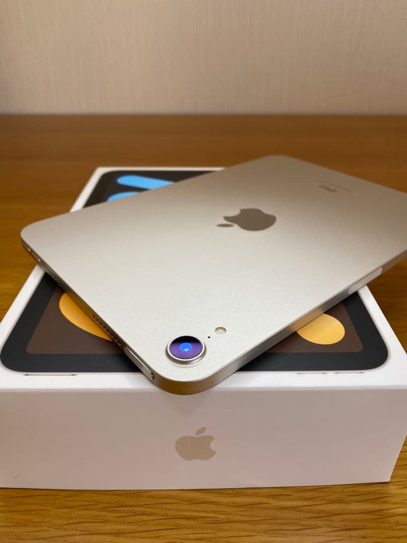 iPad 第6世代(mini) 美品　256GB iPad本体　充電器付き