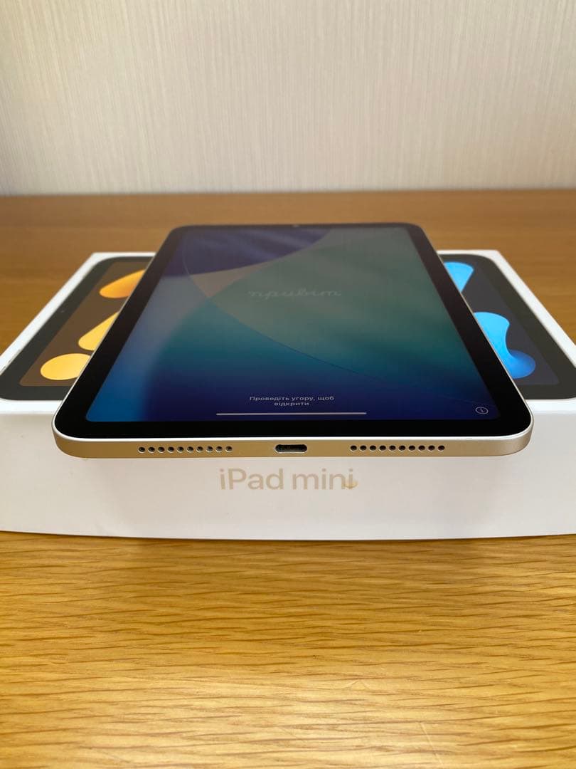 iPad 第6世代(mini) 美品　256GB iPad本体　充電器付き