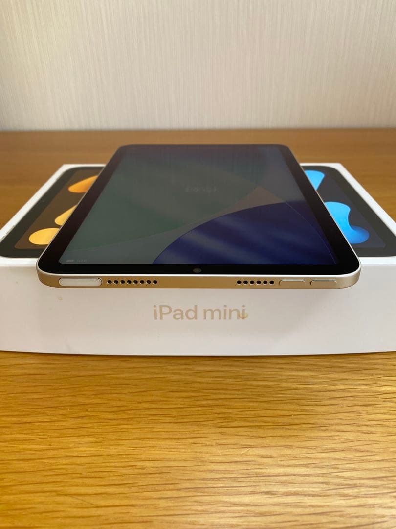 iPad 第6世代(mini) 美品　256GB iPad本体　充電器付き