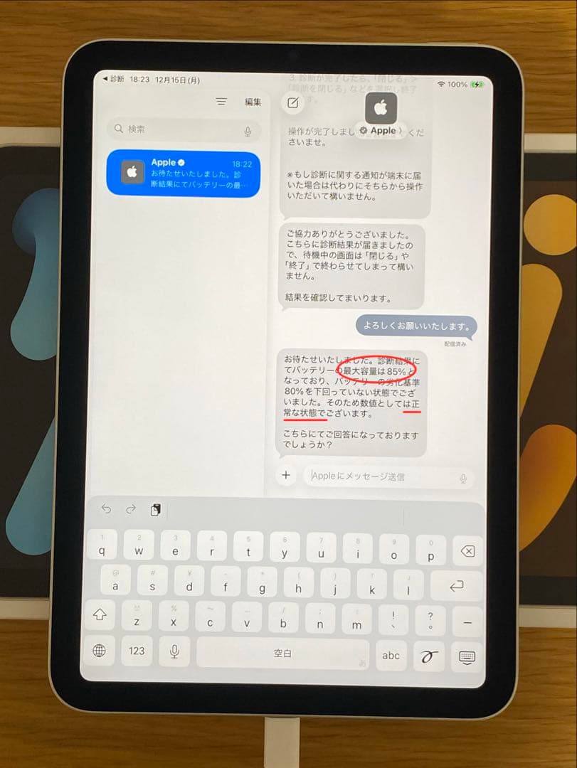 iPad 第6世代(mini) 美品　256GB iPad本体　充電器付き