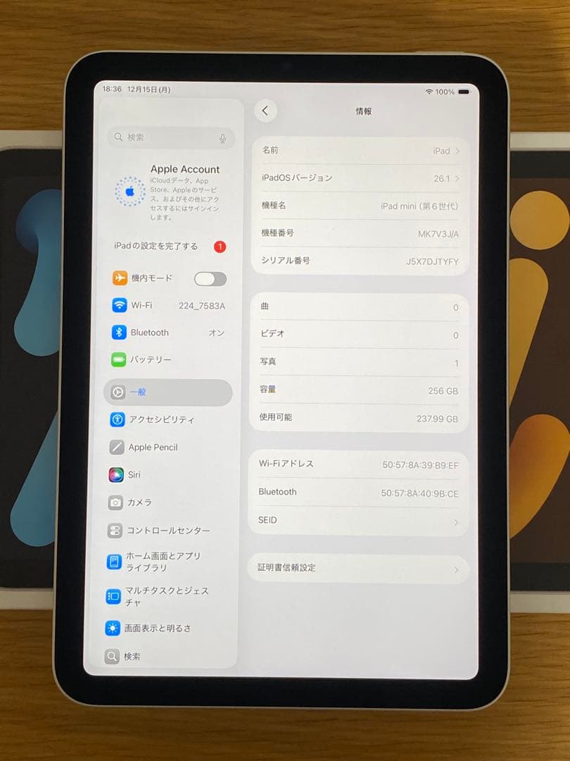 iPad 第6世代(mini) 美品　256GB iPad本体　充電器付き