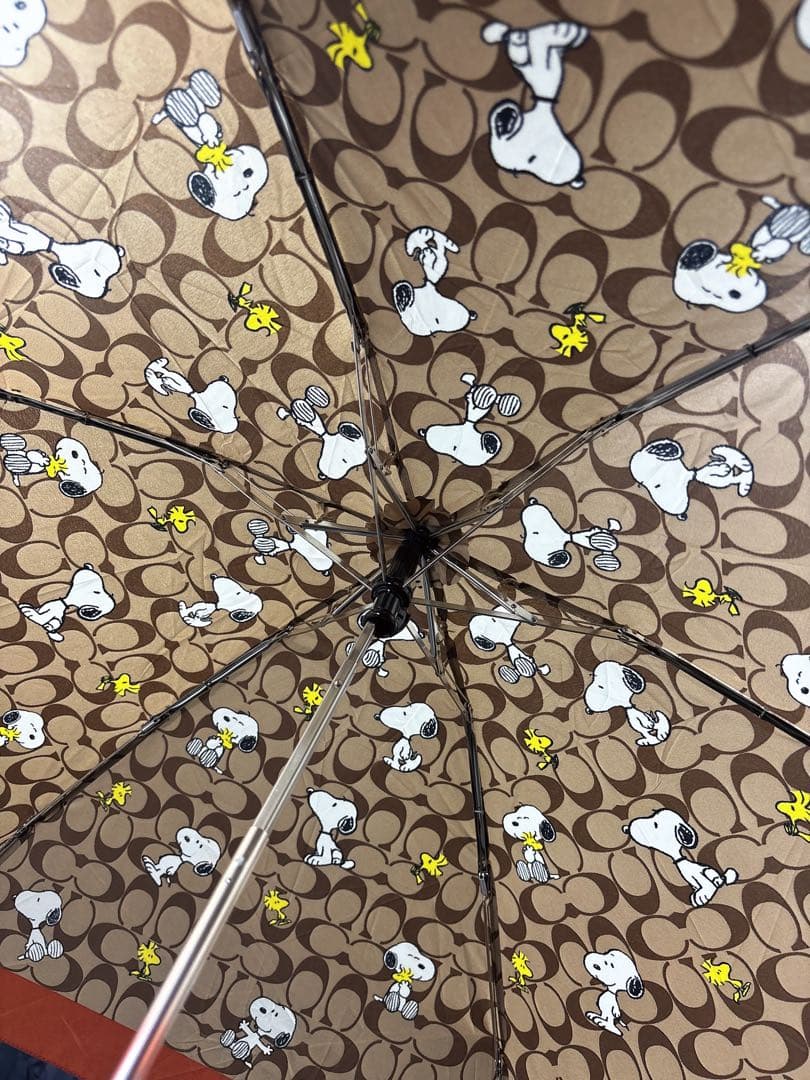 限定 COACH コーチ　折りたたみ　傘　スヌーピー