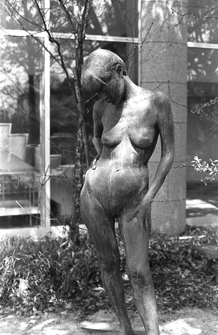 【整備済完動】PENTAX MX 黒/SMC PENTAX 50mm F1.4