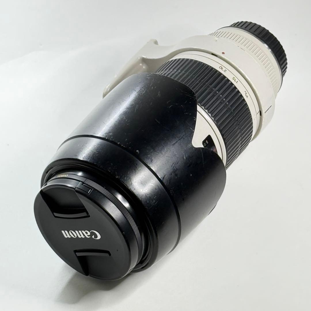 Canon EF 70-200mm F2.8 L USM ズームレンズ