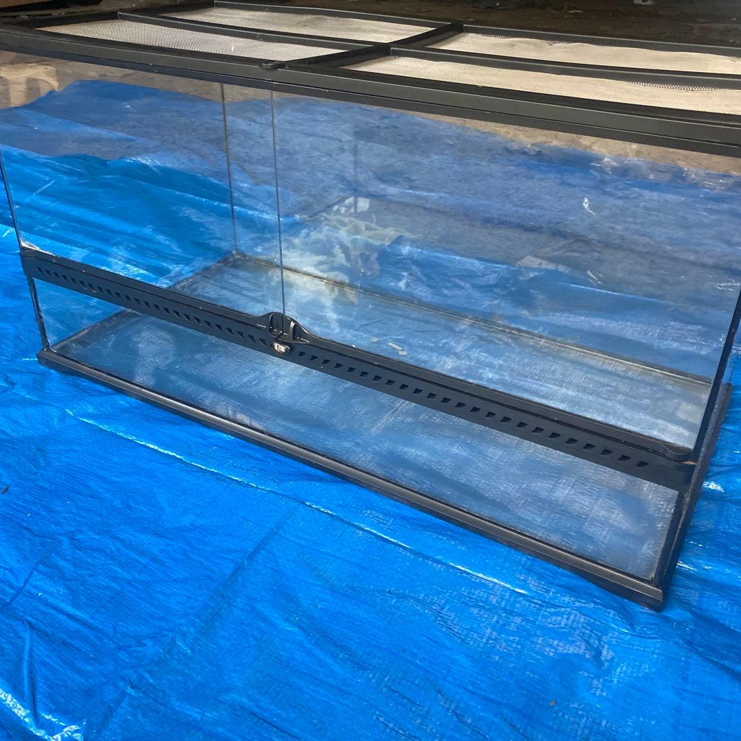 GEX エキゾテラ グラステラリウム 6030