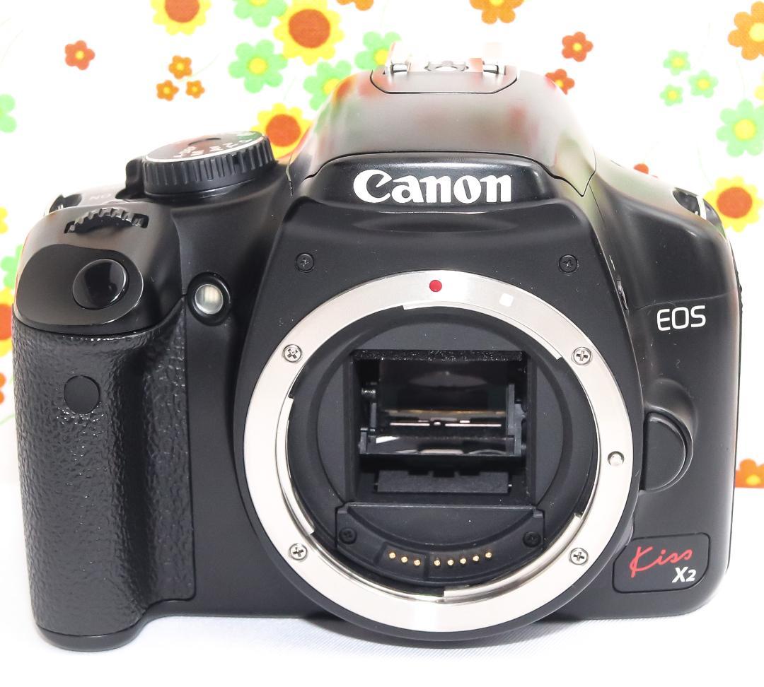 美品 キャノン Canon kiss x2☆スマホに転送☆お手軽一眼レフ♪